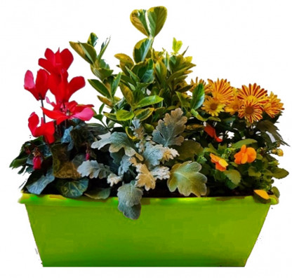 J5PL - Jardinière 40 cm 5 plantes